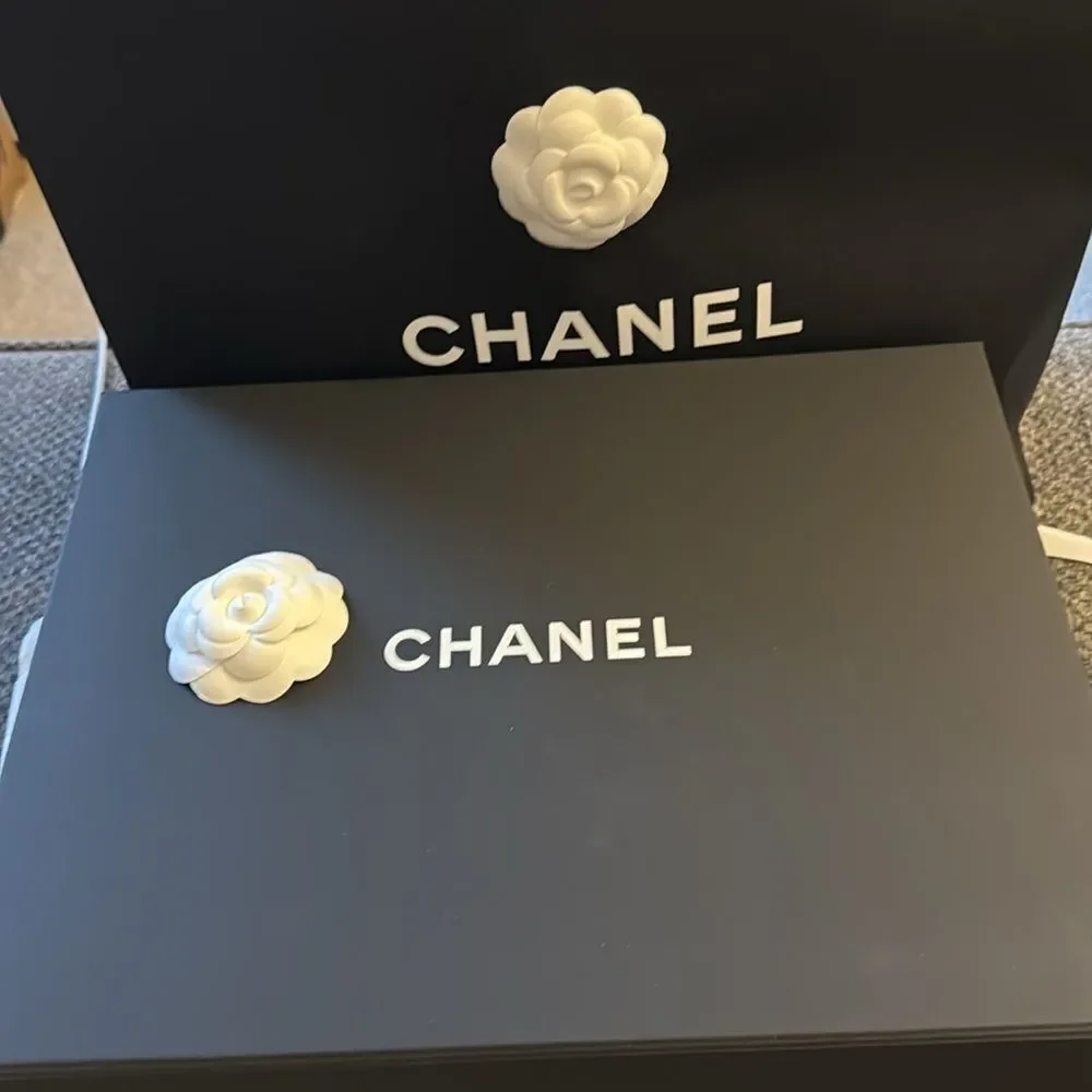 NWT CHANEL SILVER 25 Small